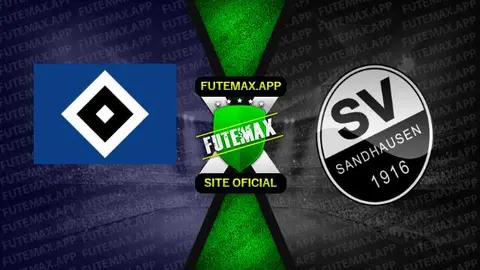 Assistir Hamburgo x Sandhausen ao vivo online HD 12/11/2022