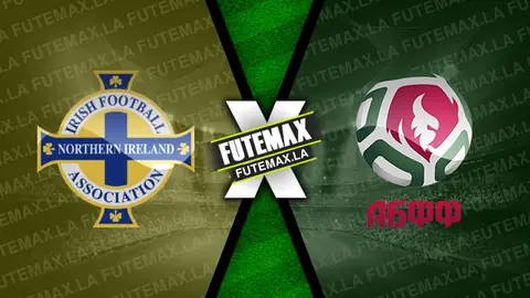 Assistir Irlanda do Norte x Belarus ao vivo online 15/11/2024