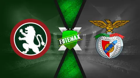 Assistir Maritimo x Benfica ao vivo HD 30/04/2022