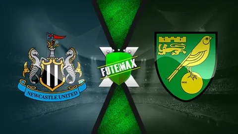 Assistir Newcastle x Norwich City ao vivo 30/11/2021 online