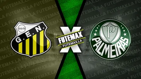 Assistir Novorizontino x Palmeiras ao vivo 21/01/2024 online