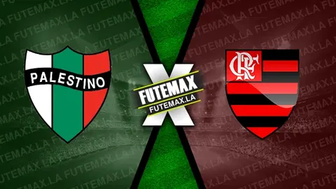 Assistir Palestino x Flamengo ao vivo 07/05/2024 grátis