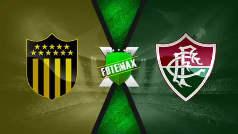 Assistir Peñarol x Fluminense ao vivo online HD 23/07/2019