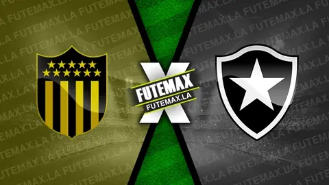 Assistir Peñarol x Botafogo ao vivo online 30/10/2024