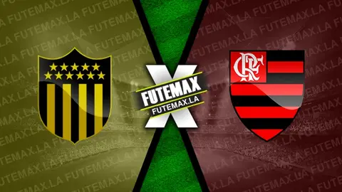 Assistir Peñarol x Flamengo ao vivo online HD 26/09/2024