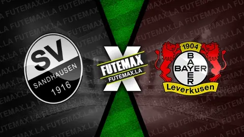 Assistir Sandhausen x Bayer Leverkusen ao vivo 01/11/2023 online