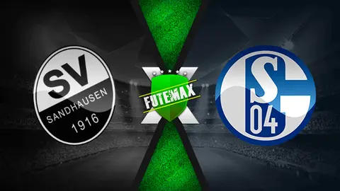 Assistir Sandhausen x Schalke 04 ao vivo 29/04/2022 grátis