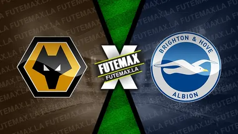 Assistir Wolverhampton x Brighton ao vivo HD 28/02/2024